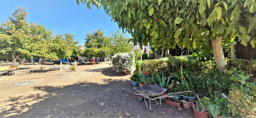 Venta De Parcela De 20.000 M2, Hermosa Y Productiva, En El M
