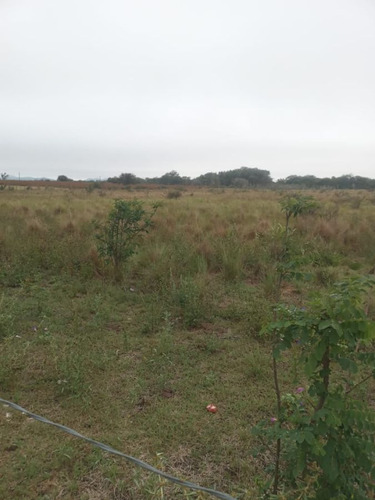 Casa En Venta En Ambul Ruta 15 En Bajo De Corrales. Gran Oportunidad! K082bc