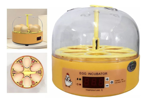 Mini Chocadeira De Ovos Com Giro Automático