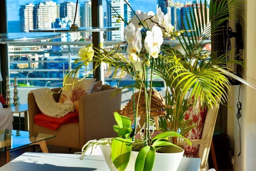 Imagen 17 de 24 de Apartamento 2 Dormitorios En Playa Mansa, Punta Del Este - Alexander Boulevard