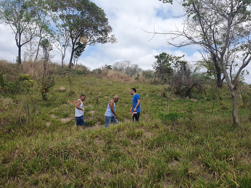 Vendo Lote De 360m2 Barato