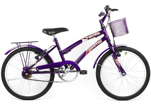 Bicicleta Feminina Dolphin Aro 20 Cesta E Garupa - Violeta