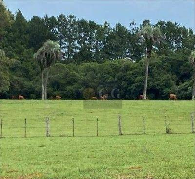 Imagem 7 de 20 de Chácara Com 3 Dormitórios À Venda, 96000 M² Por R$ 750.000,00 - Águas Claras - Viamão/rs - Ch0055