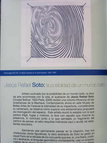 Jesús Soto Cosmos En Estado De Vibración. Centenario