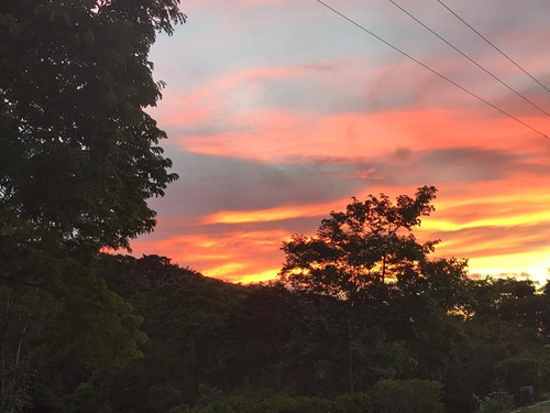 Imagen 15 de 15 de Casa En Alquiler En Sanare Cerca Del Parque Morrocoy