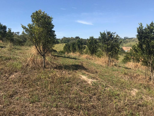 Imagem 14 de 15 de Fazenda Para Venda Em Crucilândia, Braúna, 3 Dormitórios, 1 Suíte, 1 Banheiro - F18_1-1925642