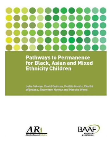 Pathways To Permanence For Black, Asian And Mixed Ethn. Eb12