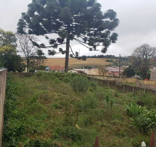 Imagem 2 de 2 de Terreno No Bonsucesso - Te0238