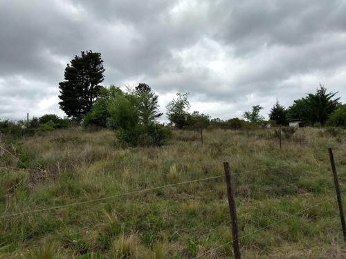 Imagen 7 de 23 de Terreno Sobre Ruta