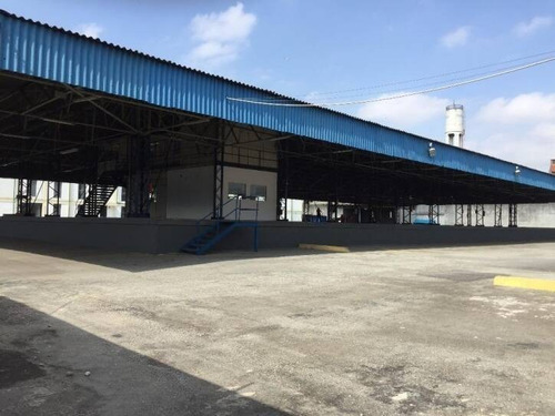 Imagem 1 de 15 de Galpão - Crossdocking - Único Na Região - A. T. 6.560 M² - Dp1537