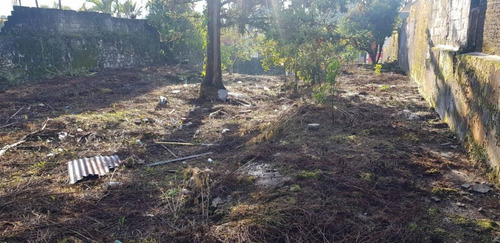 Imagen 1 de 5 de Excelente Terreno En Centro De Xicotepec