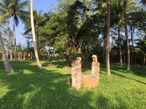Imagen 4 de 12 de Terreno En Venta El Zapote