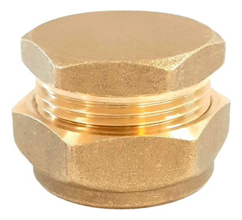 Kit 8 Tampão Fácil 22 Mm Sem Solda Coletor Placa Solar 3/4