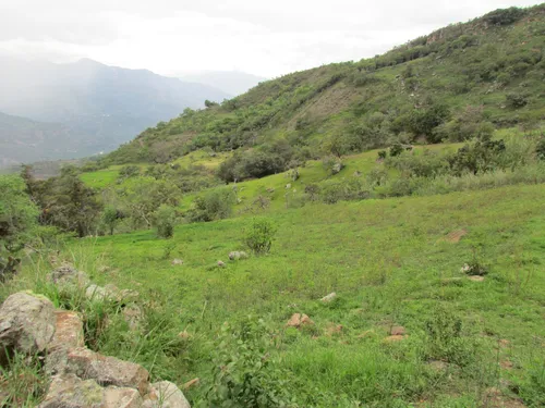 Finca En Venta (soatá - Boyacá)