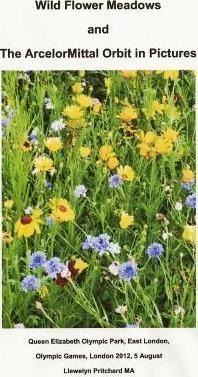 Wild Flower Meadows And The Arcelormittal Orbit In Pictur...