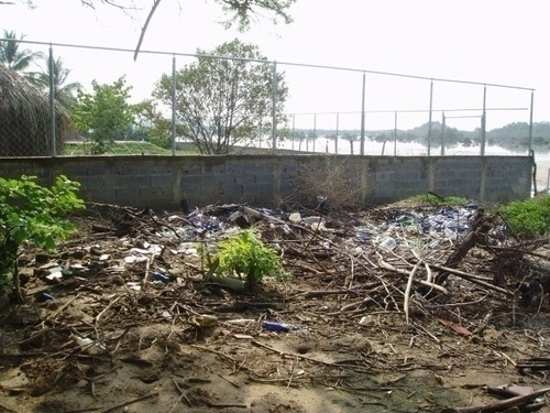 Imagen 15 de 30 de Maria Eugenia Blanco Vende Terreno En Morrocoy, Falcon 386942