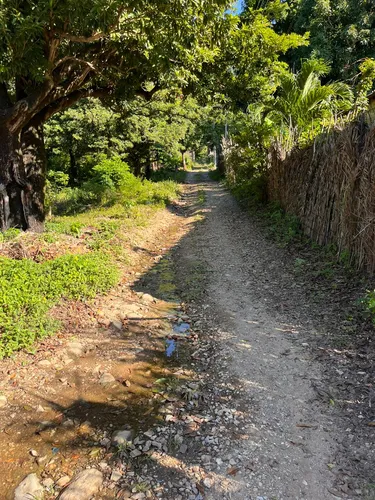 Terreno De 3000m2 En Fuentidueño
