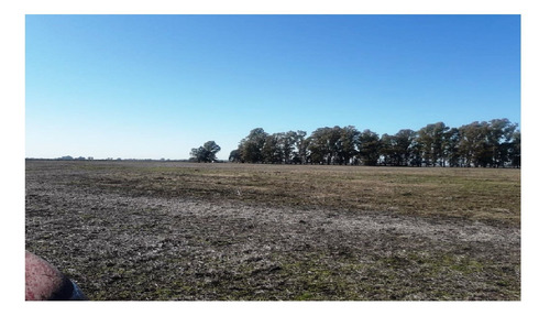Imagen 21 de 25 de Terreno Campo En Venta Ubicado En Bragado, Resto De La Provincia