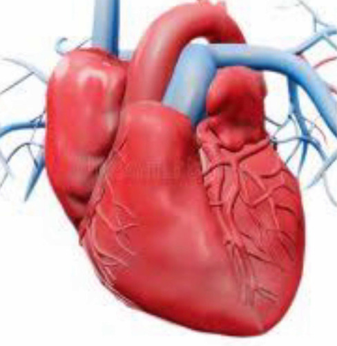 Imagem 1 de 1 de Consultas Cardiologia Via Vídeo E Laudos De Exames Para Clin