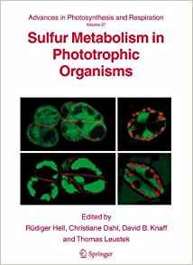 Sulfur Metabolism In Phototrophic Organisms (advances In Pho