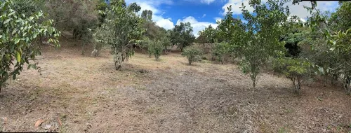 Venta De Lote En El Carmen De Viboral, Sector Aguas Claras