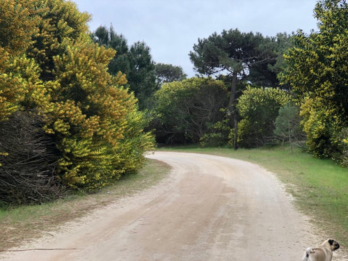 Lote Venta Punta Medanos 1224 Metros