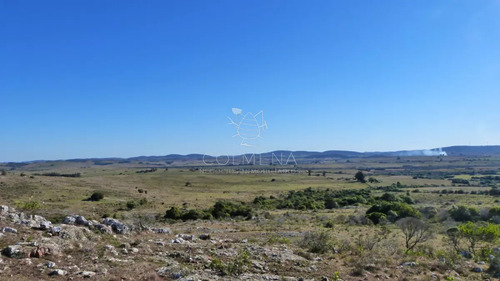 Campo Cerca Ruta 39 En Las Cañas