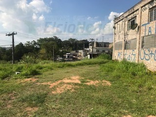 Imagem 8 de 30 de Comercial Para Venda, 0 Dormitórios, Laranjeiras - São Paulo - 2439