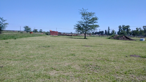 Imagen 3 de 7 de Lotes Zona Oeste 495mts.2