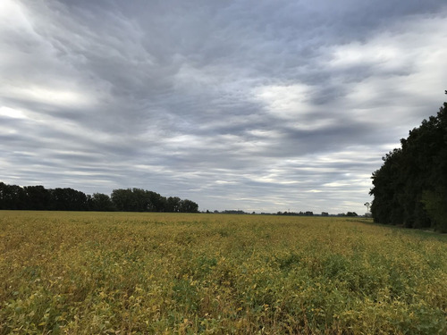 Campo En Venta En Luján