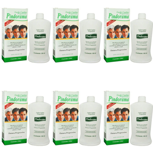 Imagem 1 de 1 de Pindorama Tintura Progressiva Loção Capilar 120ml (kit C/06)