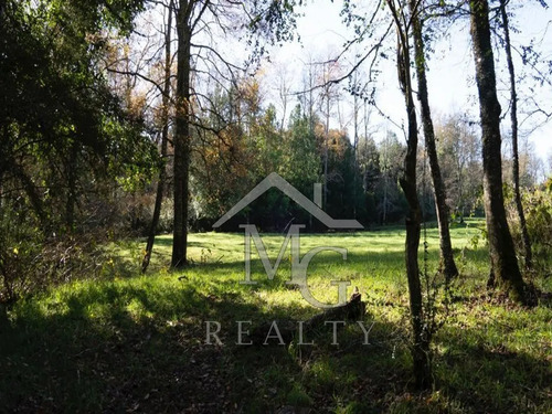 Sitio En Venta En Panguipulli