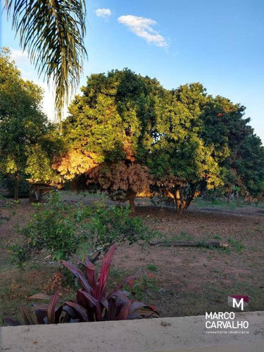 Imagem 5 de 15 de Chácara Com 2 Dormitórios À Venda, 10000 M² Por R$ 1.500.000,00 - Padre Nobrega - Marília/sp - Ch0028