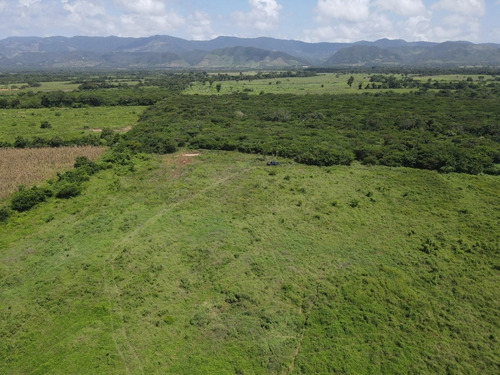 Imagen 20 de 30 de Finca En Venta Aguadagrande, Siquisique Cod. 23-7859
