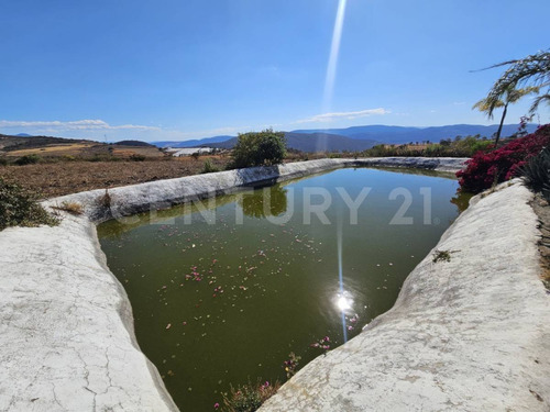 Rancho En Venta Jocotepec, Jalisco.