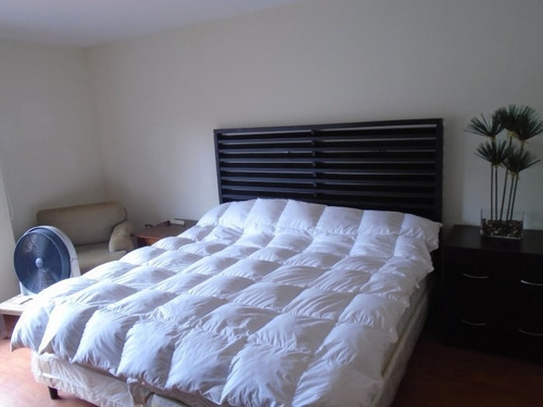 Imagen 4 de 4 de Vendo O Alquilo Apartamento En Colonia Escalón. - Pva-005-09-16