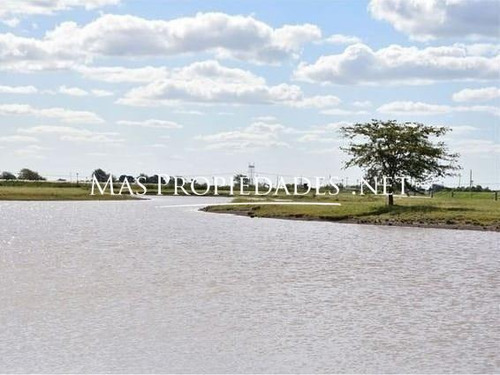 Imagen 6 de 7 de Lote Interno En Santa Clara Al Sur Canning