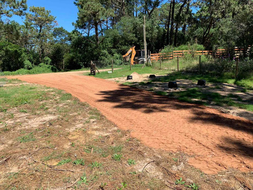 Imagen 4 de 5 de Trabajos Minicargador, Bobcat,limpieza Terrenos, Pozo Negro