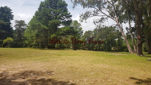Venta De Chacra En Maldonado, Punta Ballena 5 Has - Ref: 19265