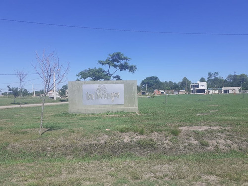 Imagen 6 de 13 de Terreno En Venta En Reconquista En Los Naranjos