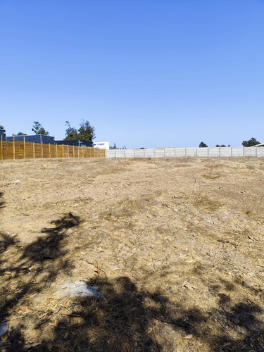 Sitios 800m2 Las Gaviotas Planos Concon