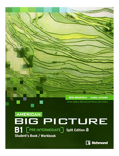 Libro American Big Picture B1 Split A Rich Idiomas Ing Pls A