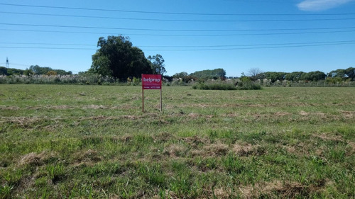 Imagen 5 de 8 de Venta Lote 2970m2 En Parque Industrial En Moreno