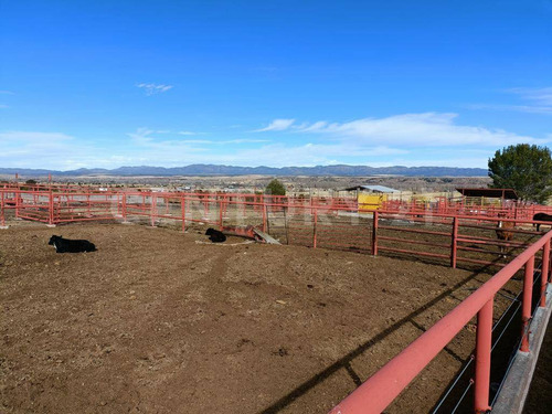 Rancho En Venta Cd. Guerrero, Chihuahua.
