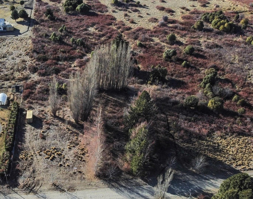 Imagen 3 de 4 de Terreno Lote En Venta Ubicado En Ñirihuau, Bariloche, Patagonia