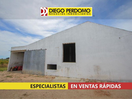 Chacra De 12,3 Has En Venta, San José