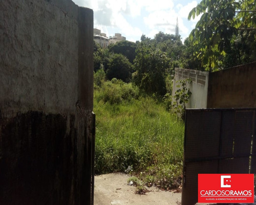 Imagem 4 de 12 de Terreno - Te00101 - 34058162