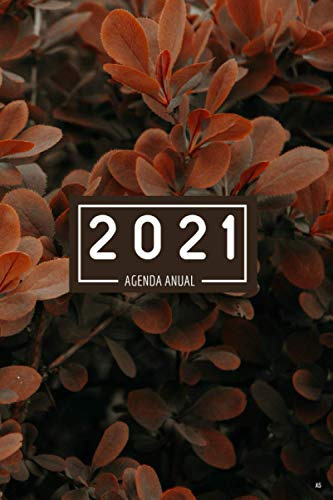 Agenda Anual 2021 A5: Planificador Semanal Y Mensual |del 1