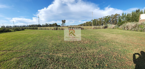Terreno Lote En Venta En Terravista, General Rodríguez, G.b.a. Zona Oeste