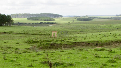 Venta Chacra Marítima, Altos Jose Ignacio